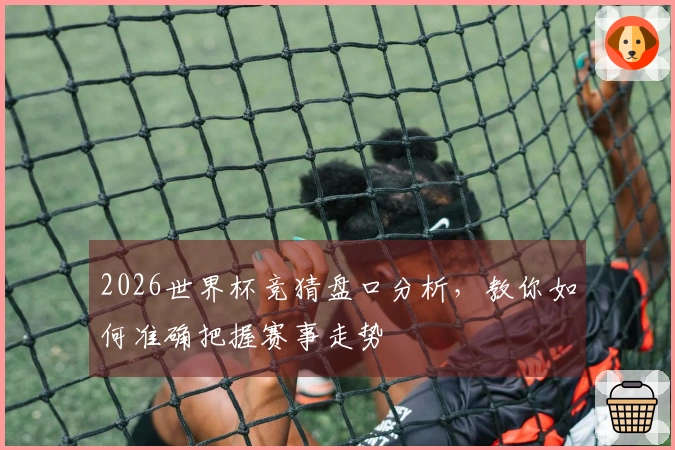 2026世界杯竞猜盘口分析，教你如何准确把握赛事走势